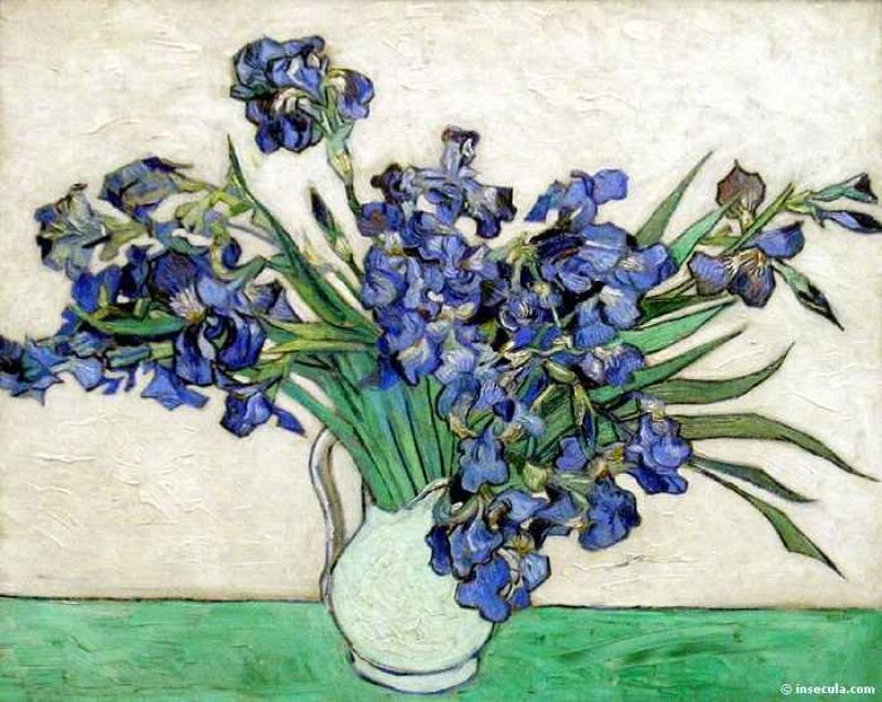 1890 iris dans un vase.jpg